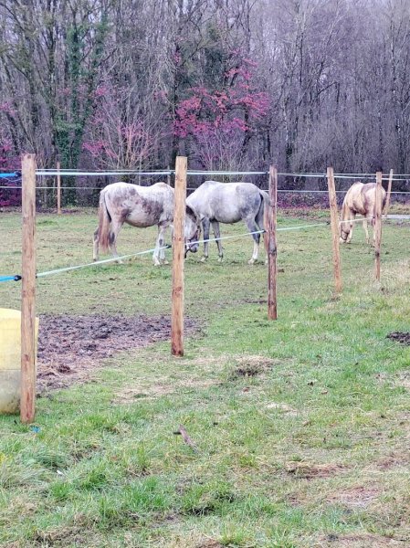 Écuries des blés d'or 88 - photo 1