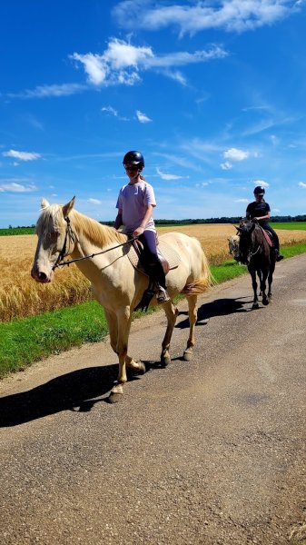 Écuries des blés d'or 88 - photo 3