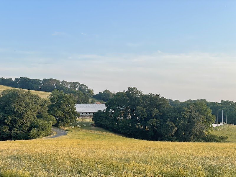 Haras du levain - photo 2