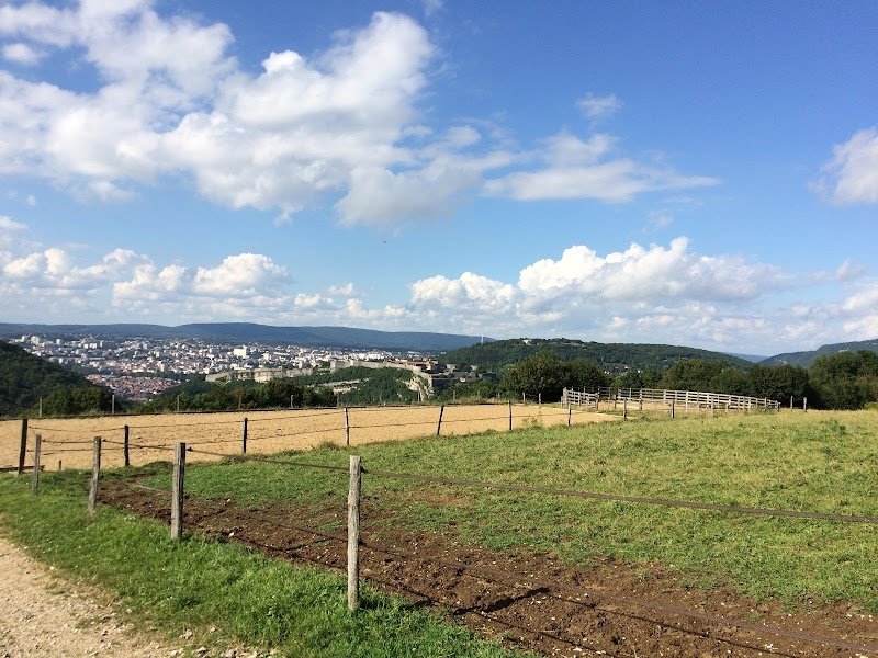 Haras de Vesontio - photo 2