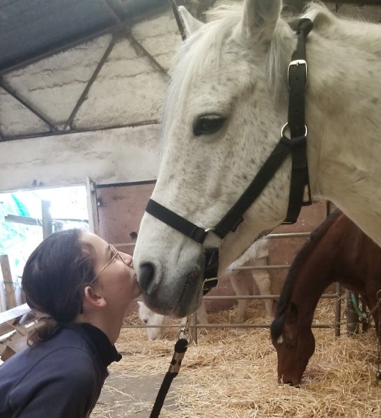 Les Ecuries de Saint Paul - photo 3