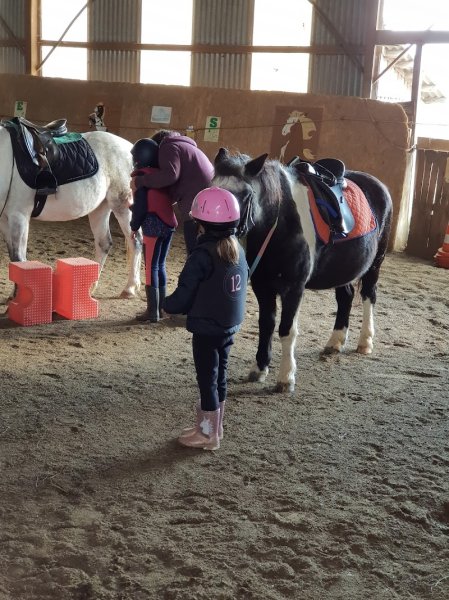 L'ecurie Des Cotottes - photo 1