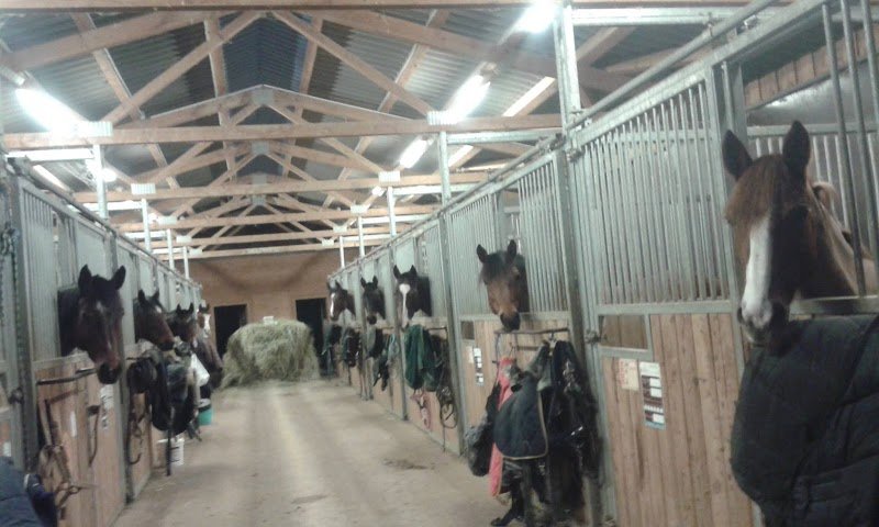 L'ecurie Des Cotottes - photo 3