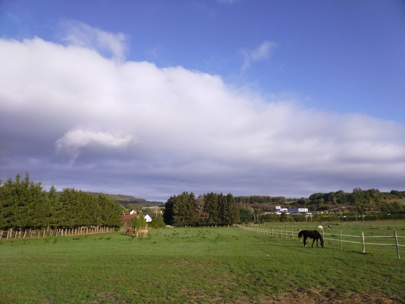 Écurie des Bleines Champs - Prévot - photo 1