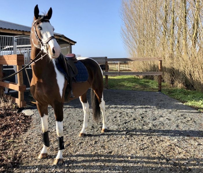 Ecurie Antoine Klinklin - photo 3