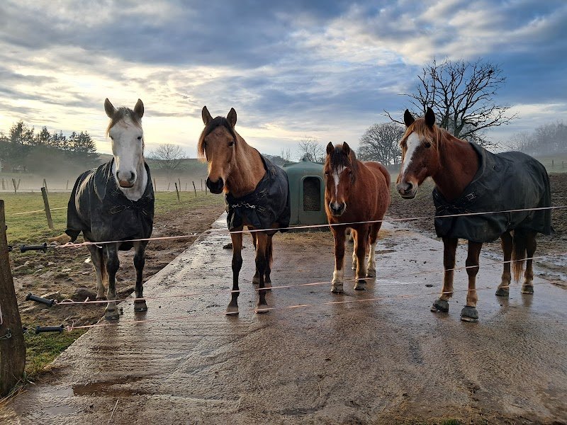 Ecurie De La Source - photo 1