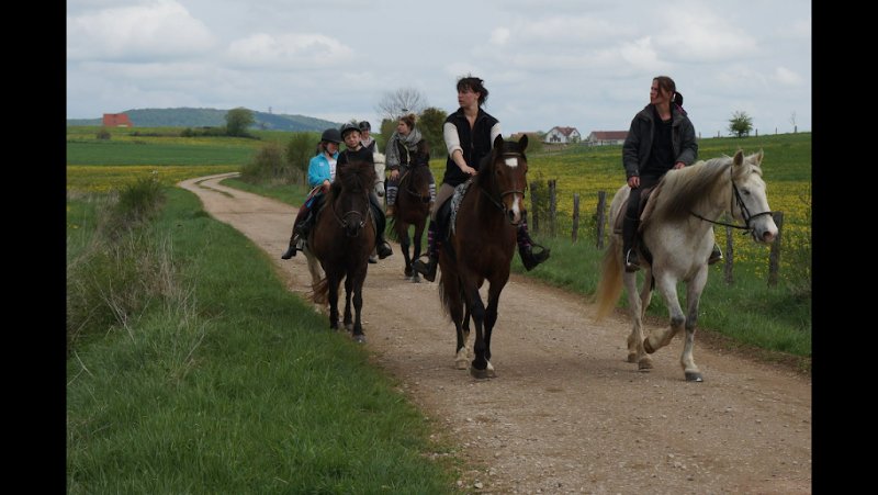 Ecurie De La Source - photo 2