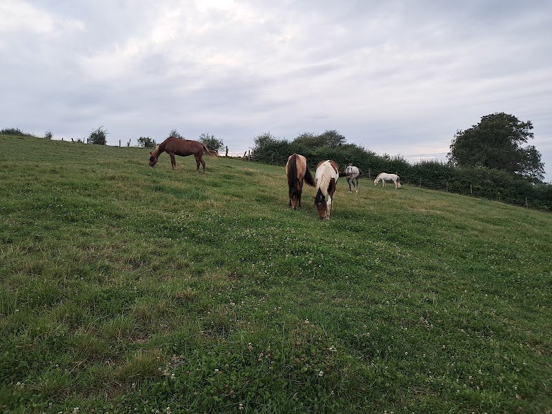 Ecurie De La Source - photo 3