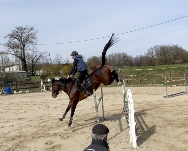 Ecurie LM JUMPING - photo 1