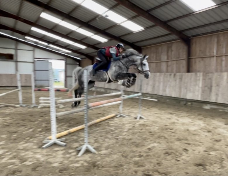 Ecurie LM JUMPING - photo 2