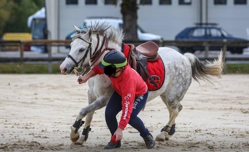 Centre Équestre La Ferme des Minimes - photo 2