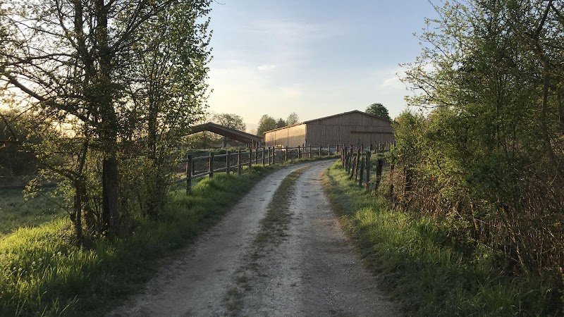 Ecurie De L'Allaine EARL