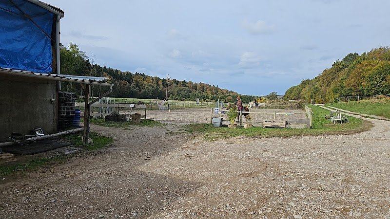 Ecurie des vieilles vignes - photo 1