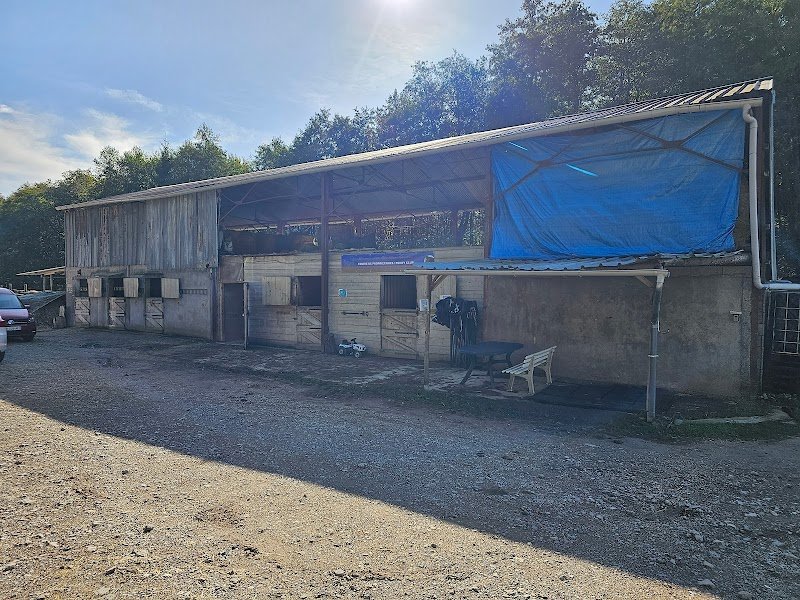 Ecurie des vieilles vignes - photo 2