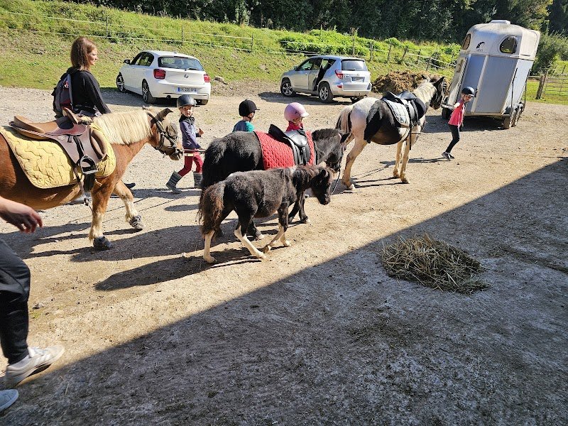 Ecurie des vieilles vignes - photo 3