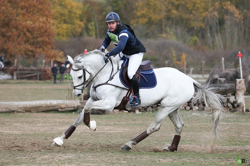 Ecurie RoyalDenfer - photo 1