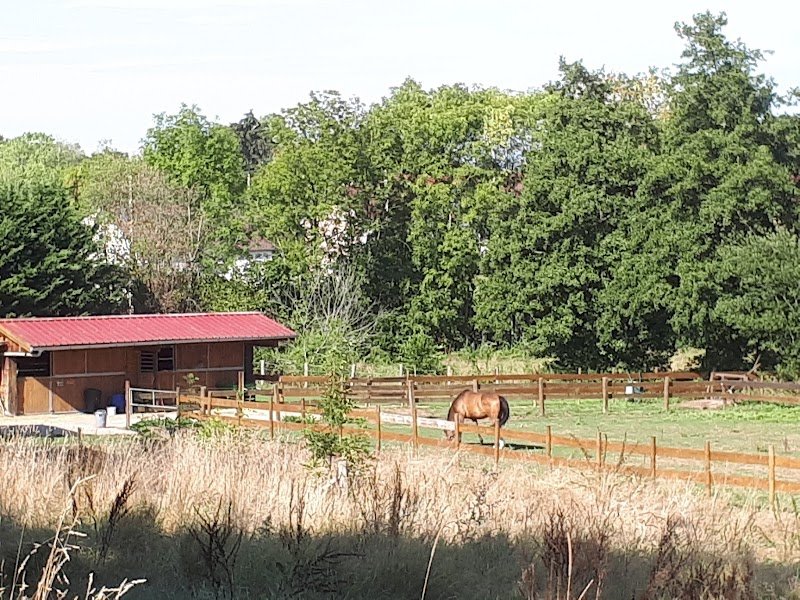 Écurie des 2 ponts - photo 2