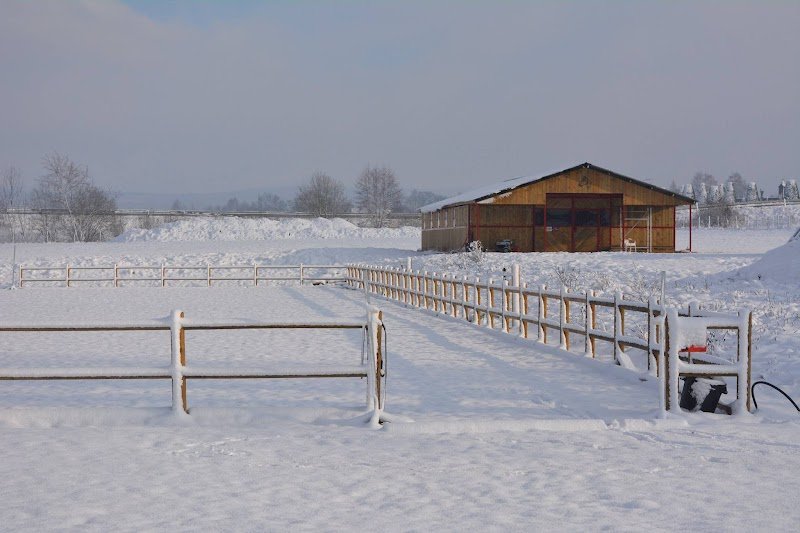 Écurie des 2 ponts - photo 3