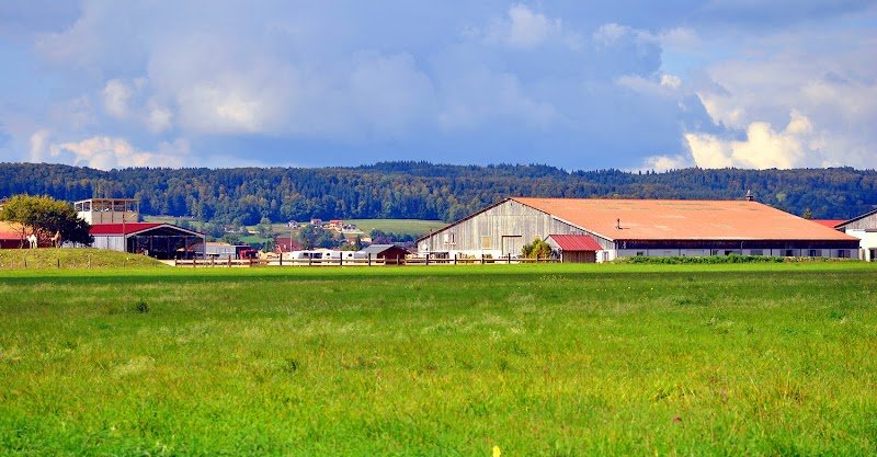 Les Ecuries de la Plaine