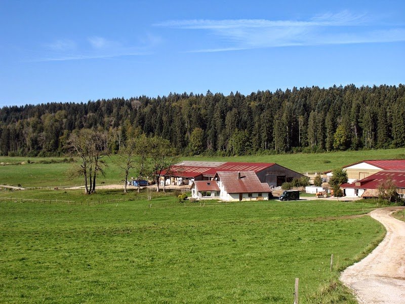 Écuries Saint Lazare - Liard Laurent