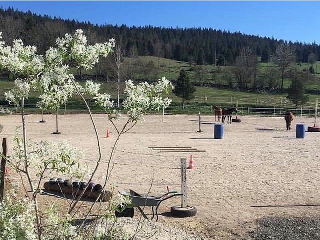 Écuries du Haut-Vallon Sàrl manège des Bayards - photo 1