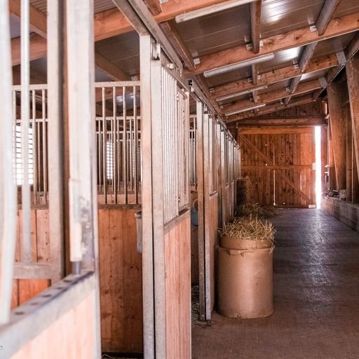 Écuries du Haut-Vallon Sàrl manège des Bayards - photo 2