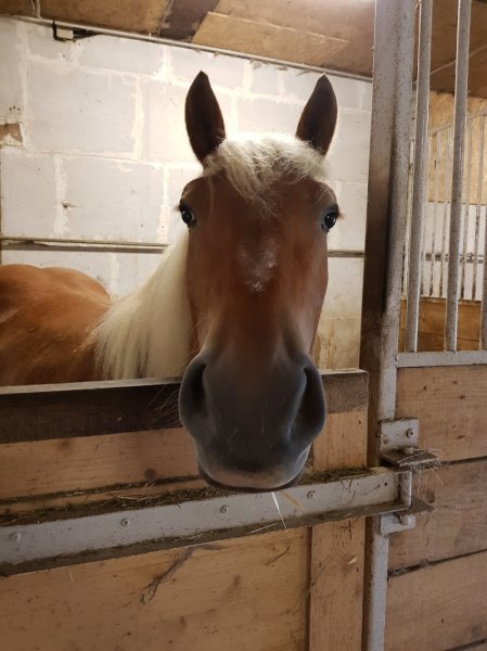 Les Ecuries Du Bourg