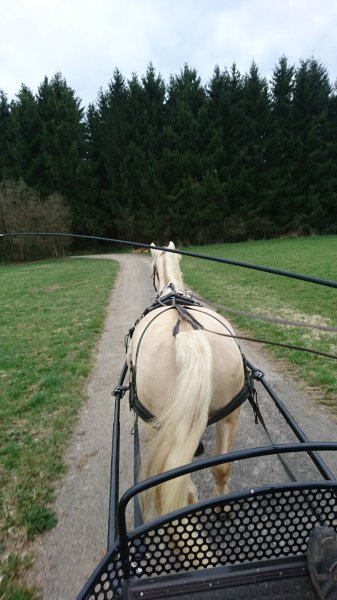 Les Ecuries Du Bourg - photo 3