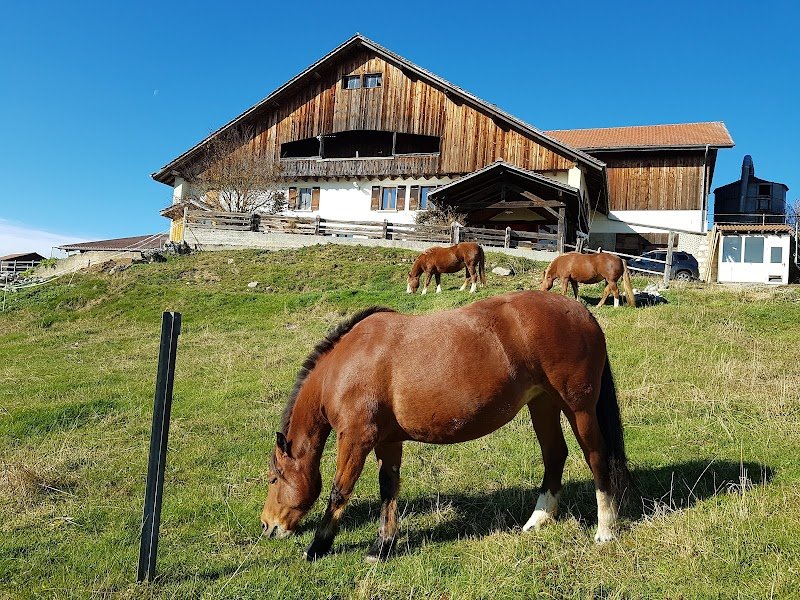 Écurie de l'Harmont - photo 2