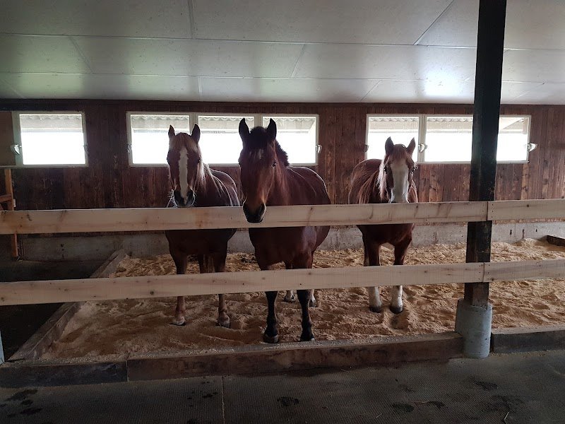 Écurie de l'Harmont - photo 3