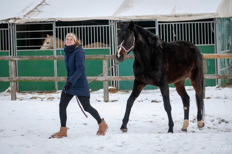 Écurie des beaux prés