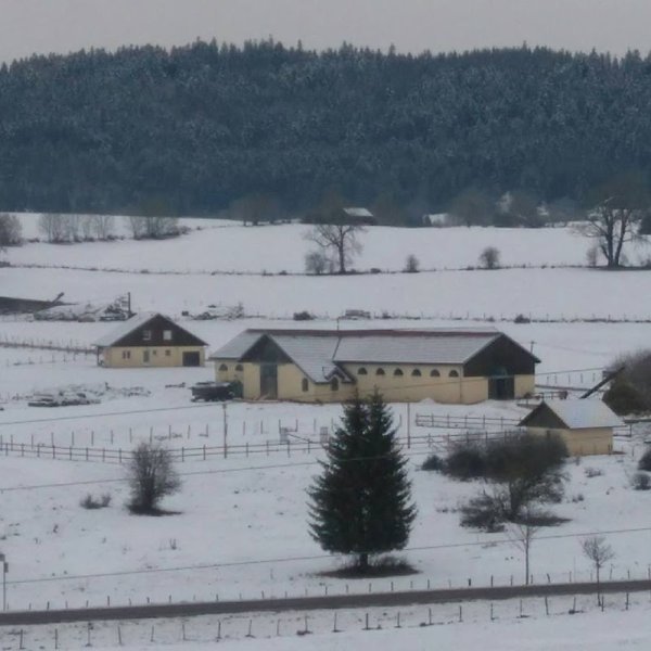 Les Haras du Petit Bois - photo 2