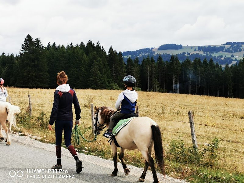 ECURIE HORSE MOUNTAIN - photo 3