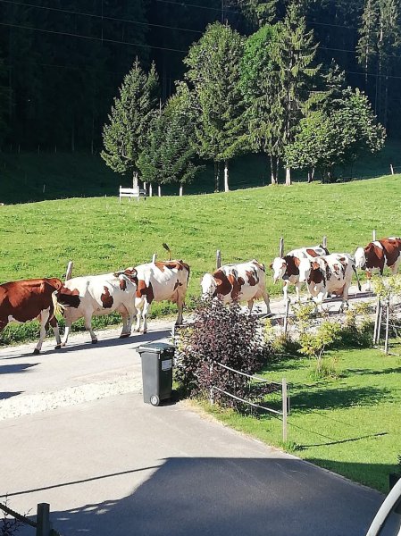Relais équestre Les Seignes - photo 3