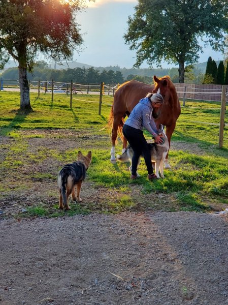 Haras de la FLESCH - photo 3