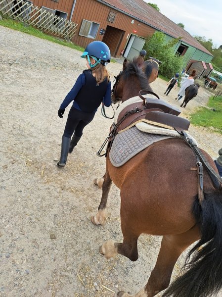 Écurie PETIOT - photo 1