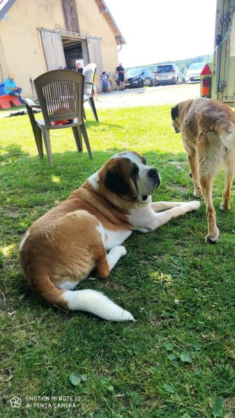 Centre Equestre près Besançon - Les Ecuries de Chevigney - photo 3