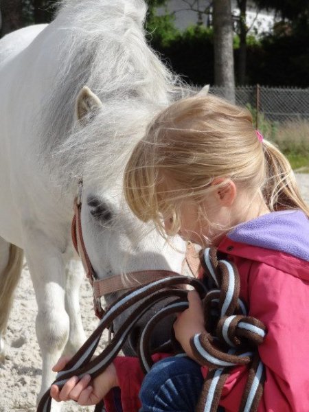 Centre equestre de l alliance - photo 1