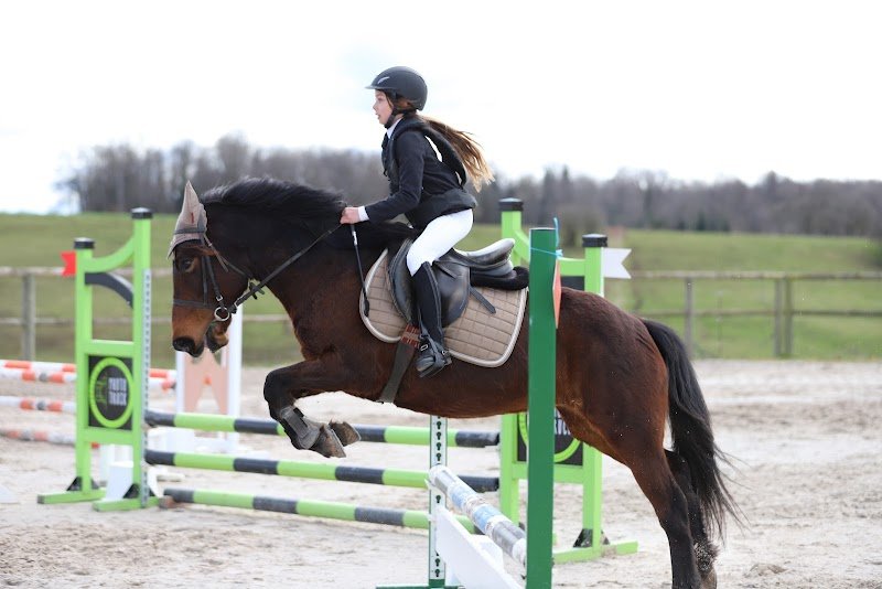 Centre equestre de l alliance - photo 2