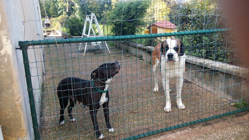 EARL Ferme équestre du Pont du Diable