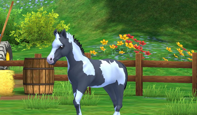 EARL Ferme équestre du Pont du Diable - photo 2