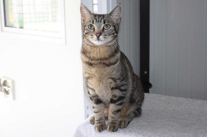 Pension de Valavi - photo 1