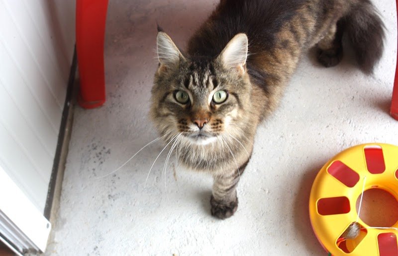 Pension de Valavi - photo 2