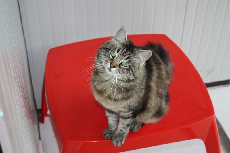 Pension de Valavi - photo 3