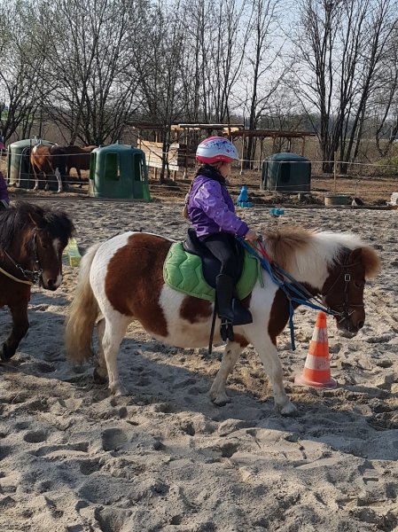 L'écurie des p'tits bouts - photo 2