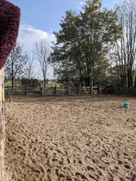 L'écurie des p'tits bouts - photo 3