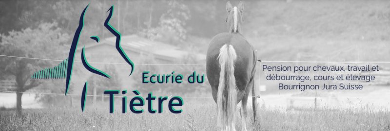 Écurie du Tiètre - photo 1