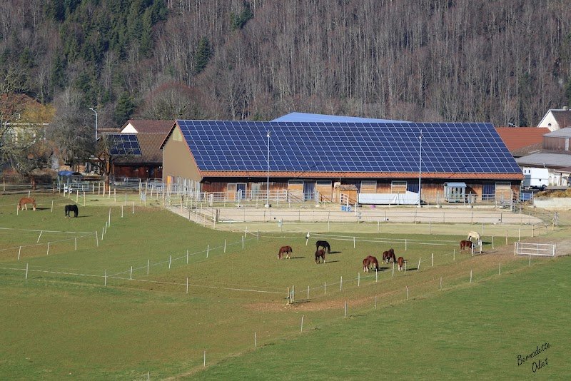 Écurie du Tiètre - photo 2