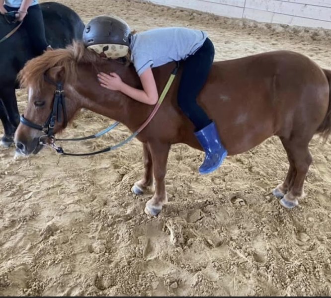 Centre Equestre - Elevage Du Gué