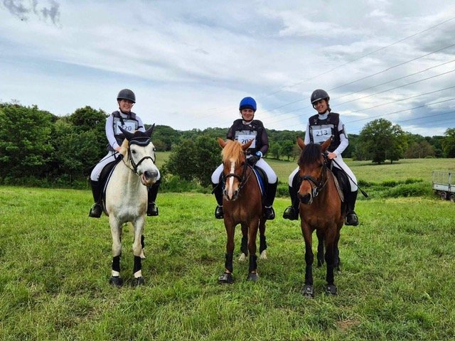 Centre Equestre - Elevage Du Gué - photo 2